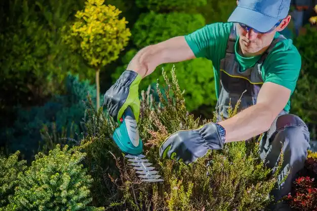 landscaping services Glouster